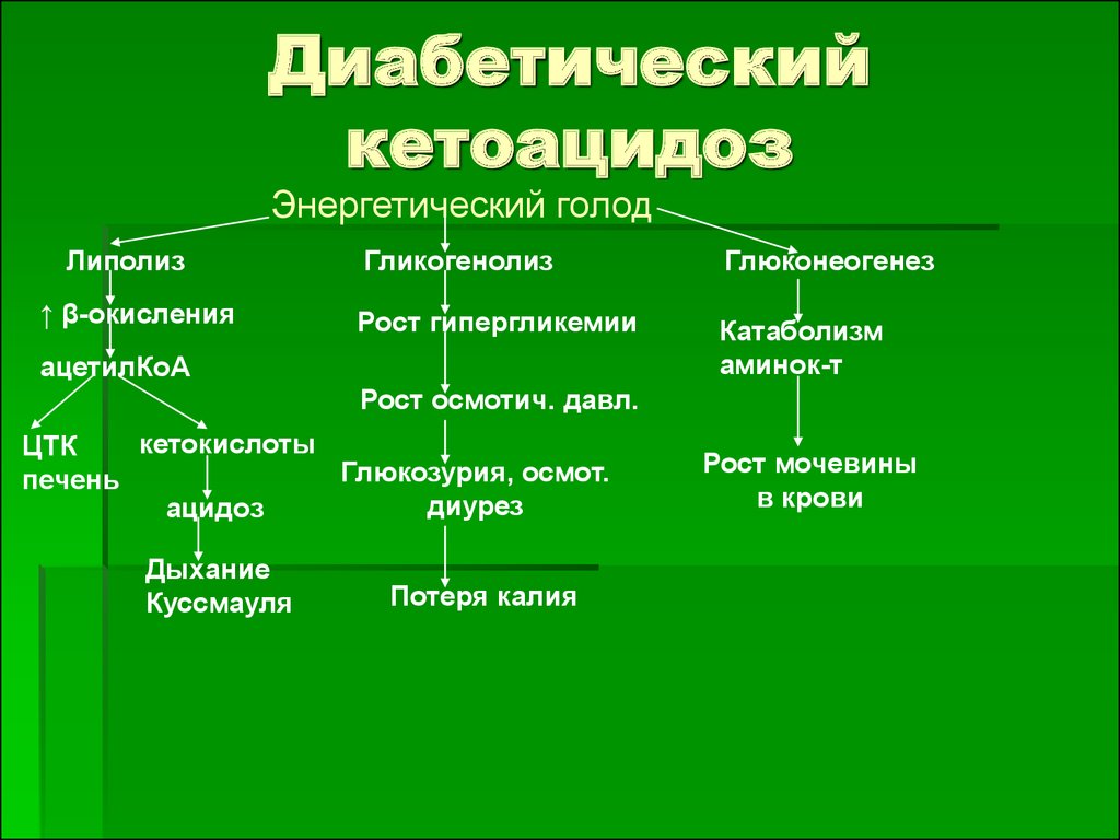 Схема развития диабетических ком