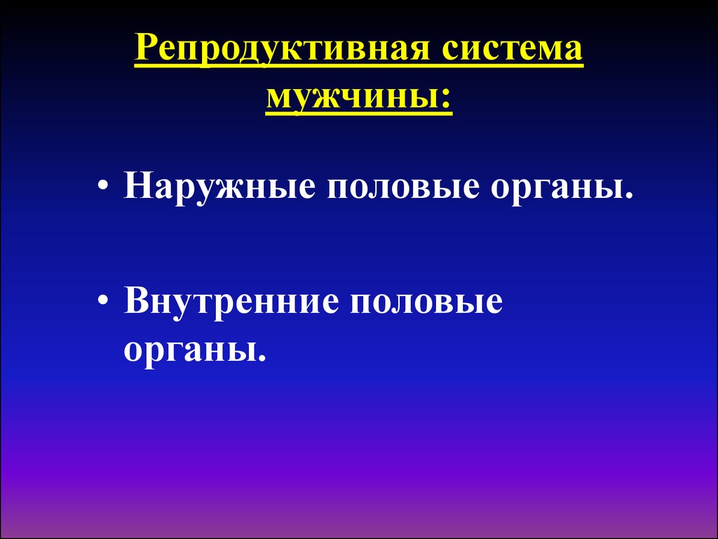 Репродуктивная система мужчины презентация