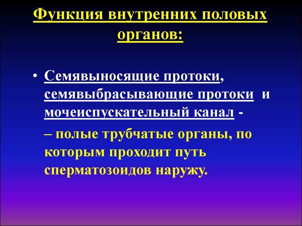 Особенности женского и мужского организма