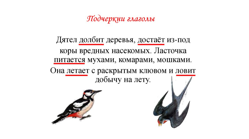 Есть слово дятел. Ласточка питается мухами. Дятел и Ласточка. Клюв ласточки. Дятел долбит.