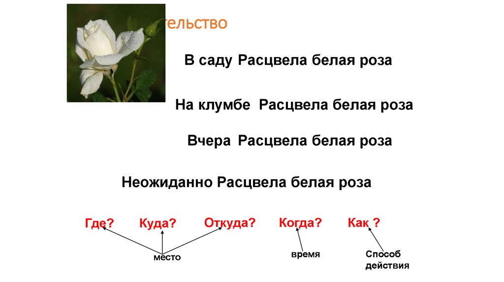 Как пишется зацвели