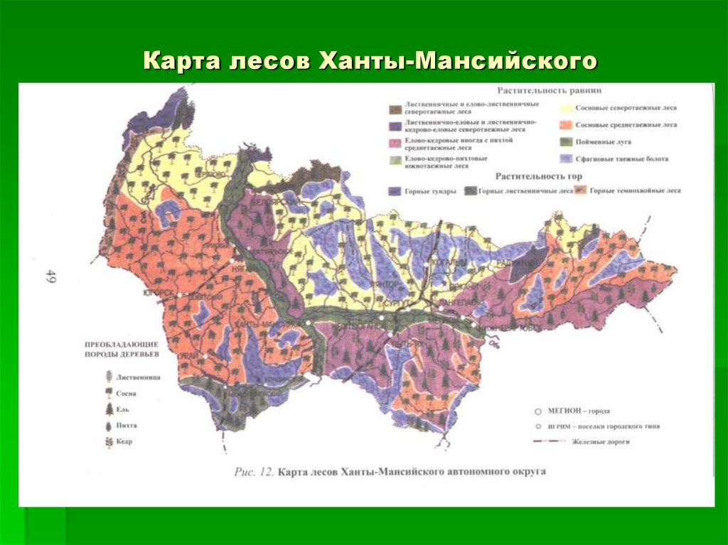 Карта лесного. Карта лесов ХМАО. Почвы ХМАО карта. Ханты-Мансийский автономный округ природная зона. Природные зоны ХМАО карта.