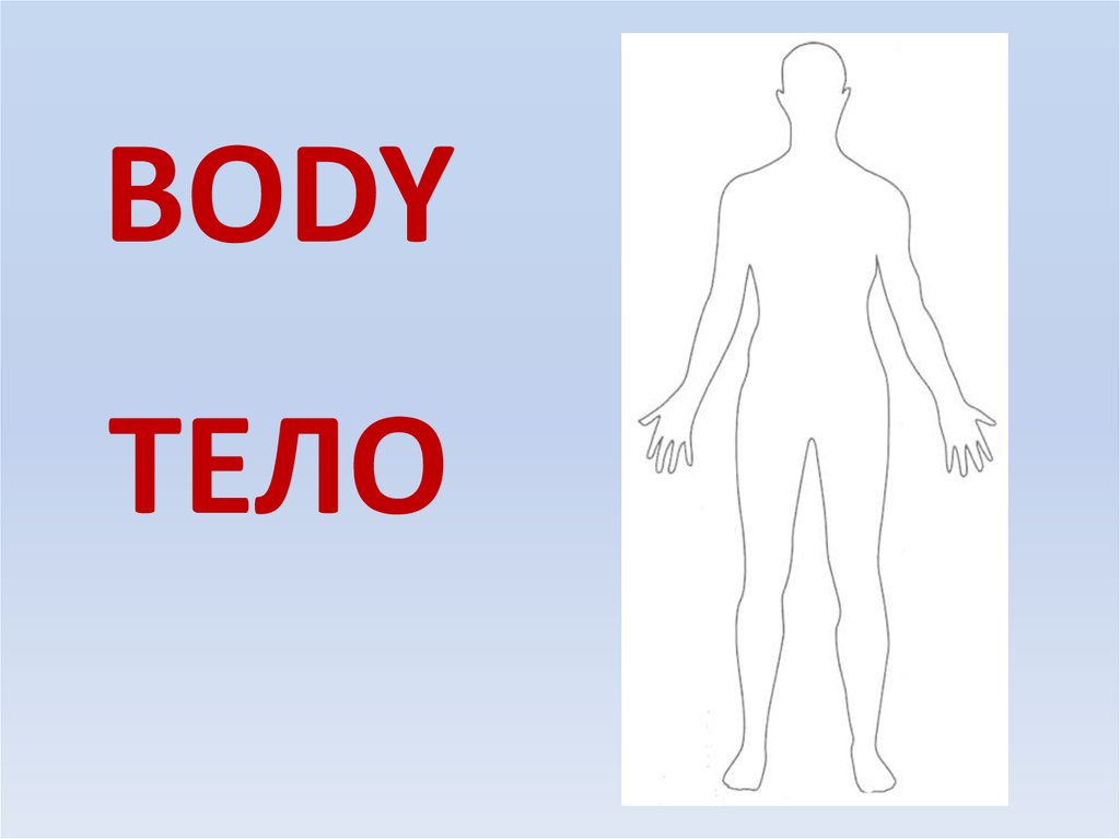 Презентация body talk