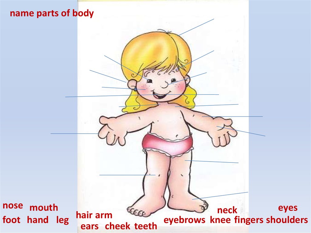 name parts of body