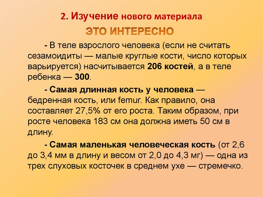 В теле взрослого человека костей. Число костей взрослого человека. Самая длинная кость человека. Самая длинная кость в теле человека. Какая самая длинная кость человеческого организма.