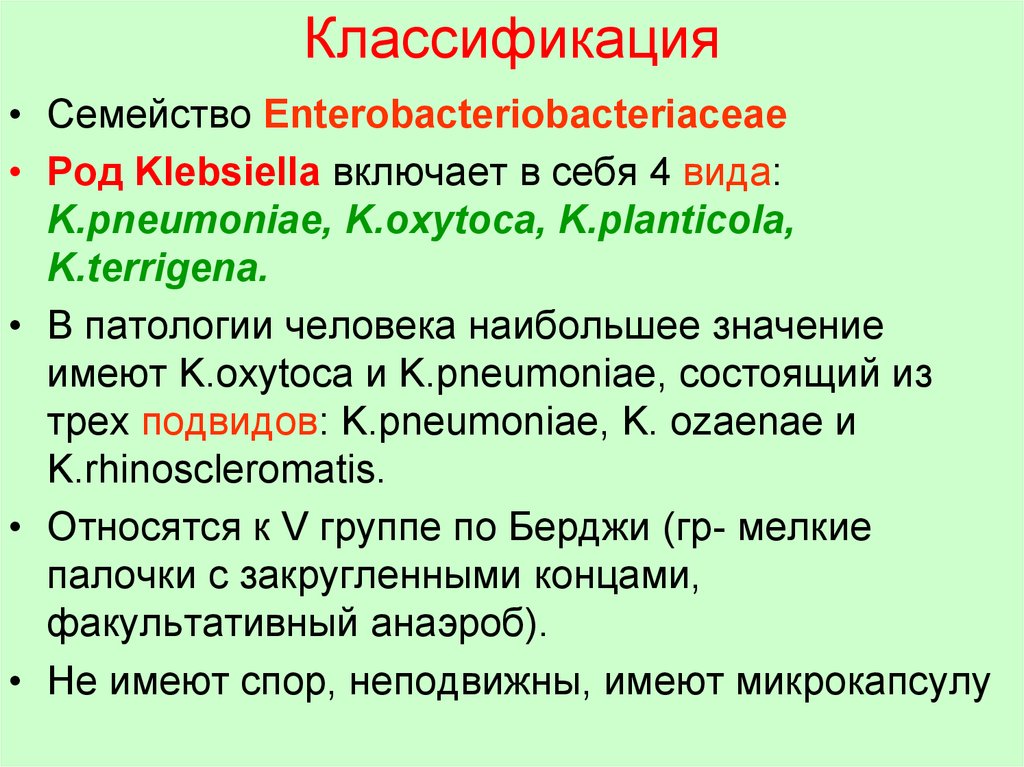 Клебсиеллы презентация микробиология