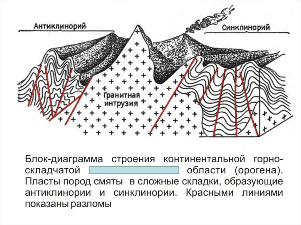 Геологические процессы горных пород. Антиклинорий и синклинорий. Структурные элементы геосинклиналей. Горст антиклинорий. ЭПИГЕОСИНКЛИНАЛЬНЫЙ ороген.
