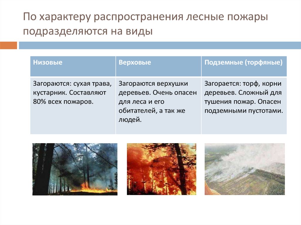 Верховые низовые подземные пожары. Виды лесных пожаров. Характеристика природных пожаров. Природные пожары подразделяются на. Пожары верховые низовые торфяные.