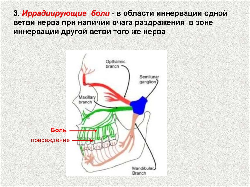 Иррадиация боли. Иннервация языка. Механизм иррадиации боли. Патогенез иррадиирующей боли.