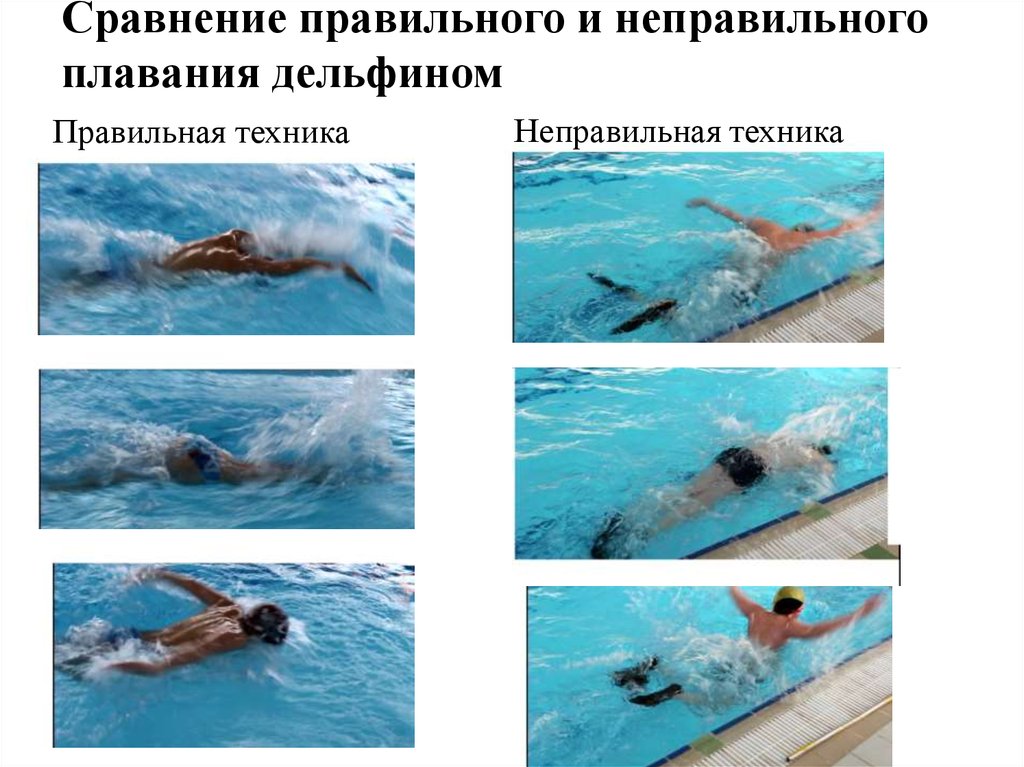 Сравнение правильного и неправильного плавания дельфином