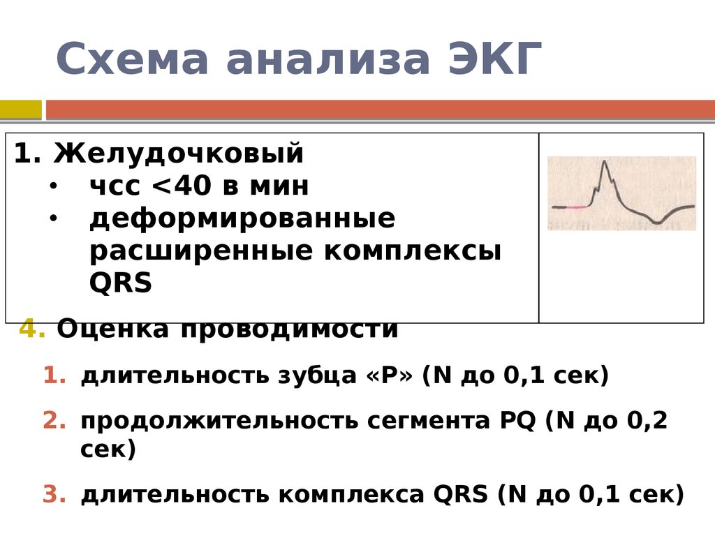 План описания экг