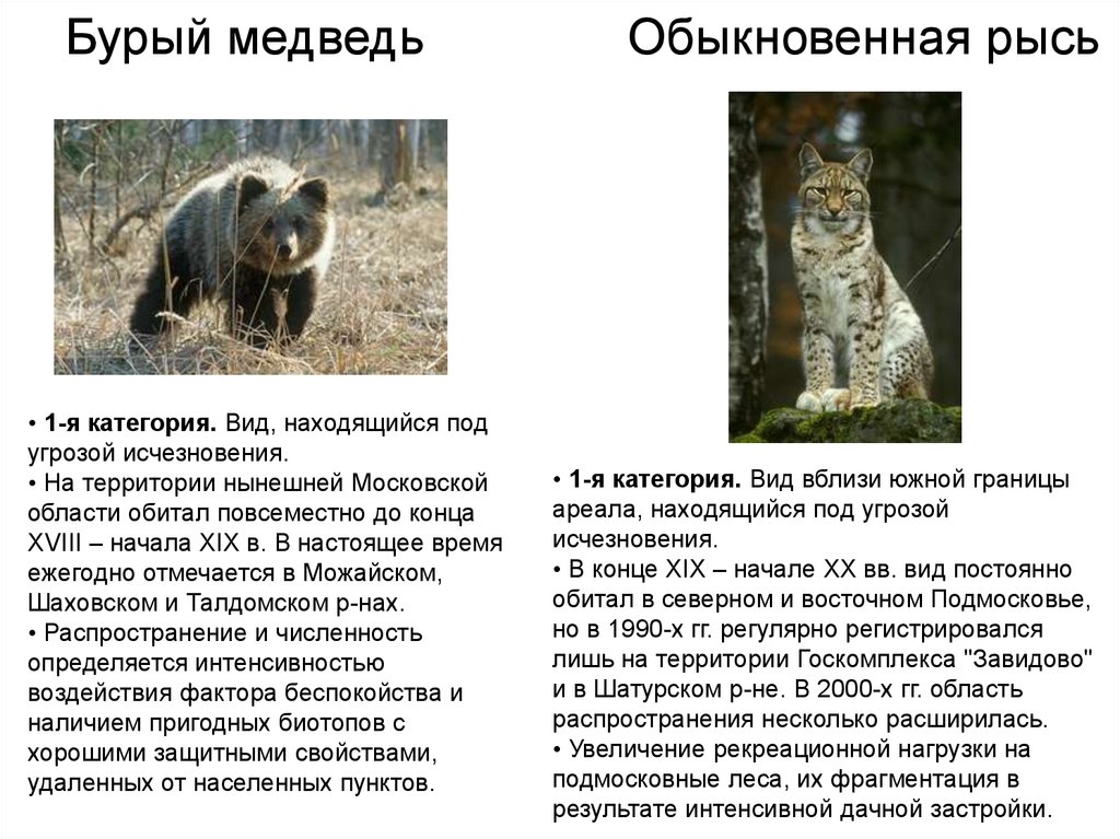 Красная книга россии животные в московской области
