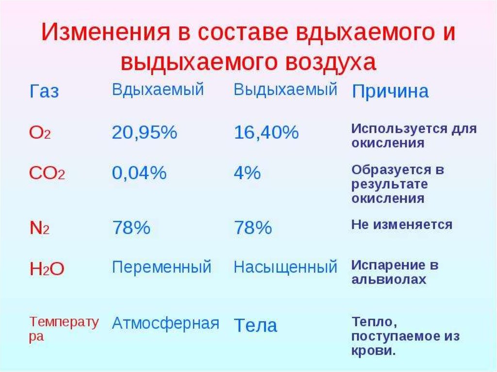 Сколько кислорода в воздухе. Состав вдыхаемого и выдыхаемого воздуха. Изменение состава вдыхаемого и выдыхаемого воздуха таблица. Состав выдыхаемого воздуха человеком. Состав вдыхаемого атмосферного воздуха.