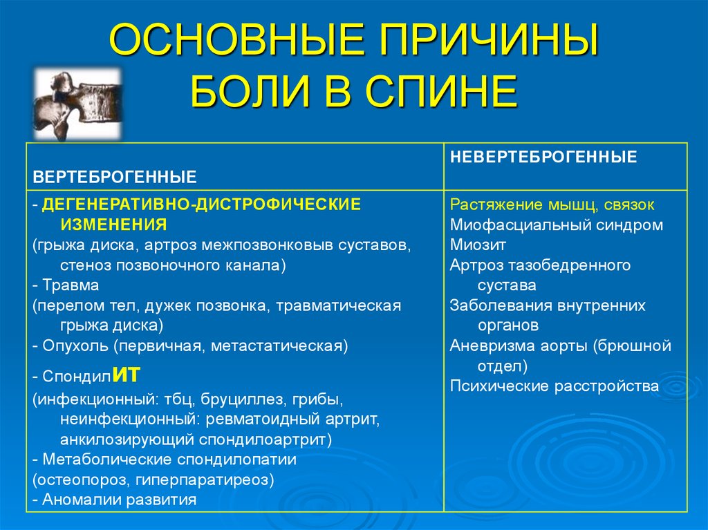 Чем отличается причина от повода. Основные причины боли в спине. Основная причина боли в спине. Факторы, вызывающие боли в спине. Причины болит позвоночник поясница.