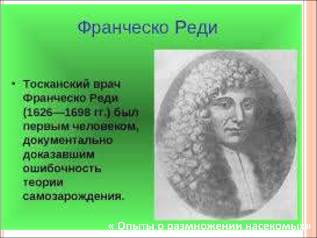 Реди. Франческо реди (1626–1697). Франческо реди биология. Франческо реди вклад. Франческо реди открытия.