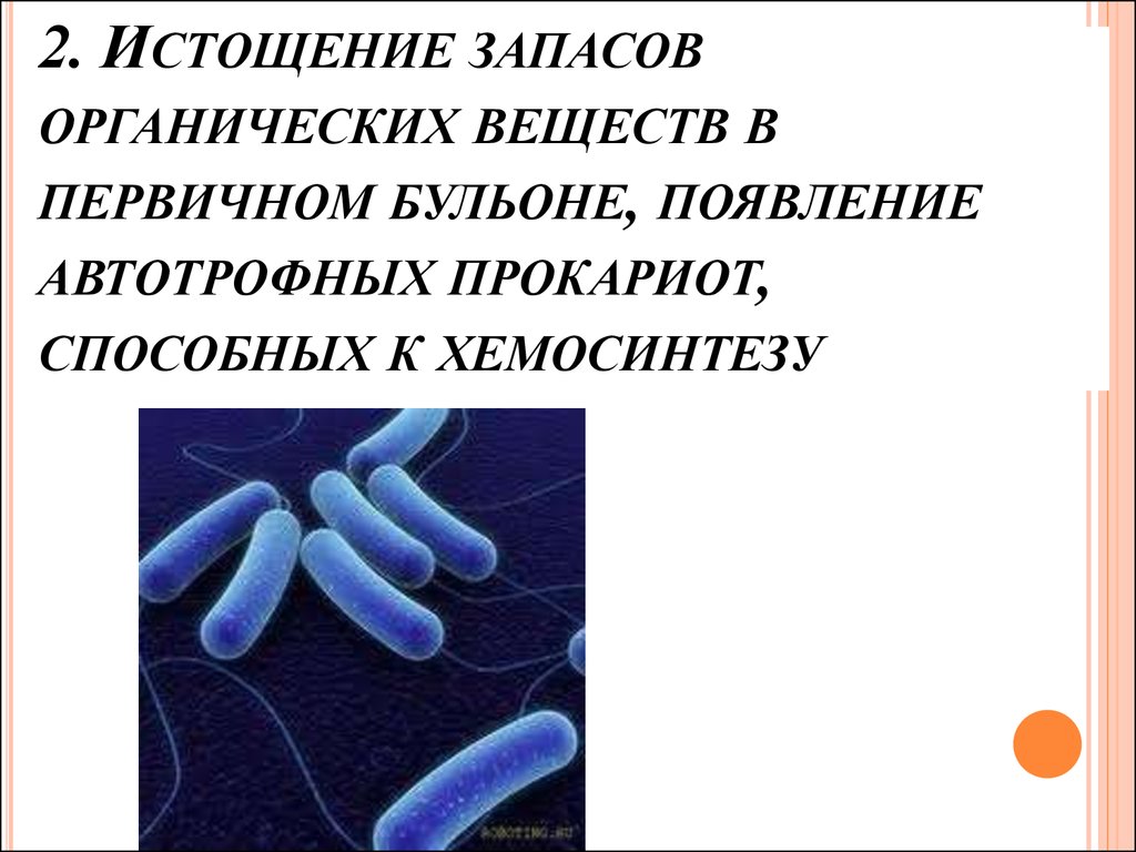 Органические вещества в первичном бульоне могли существовать бесконечно долго на земле из-за