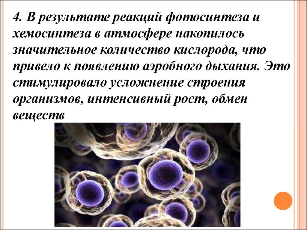 Организмы хемосинтетики. Реакции хемосинтеза. Итог хемосинтеза. Гипотезы возникновения кислорода в атмосфере. Особенности строения организмов хемосинтетики.