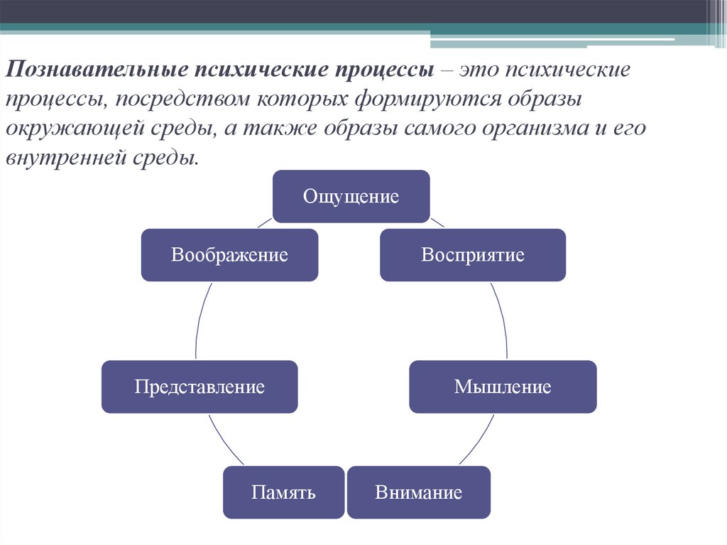 Познавательные процессы в психологии. Когнитивные психические процессы. Классификация познавательных процессов. Познавательные психические процессы.