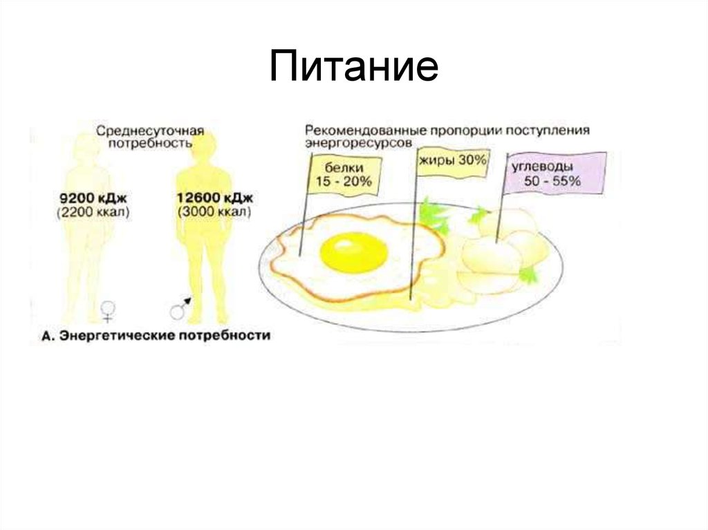 Продукты обмена аминокислот