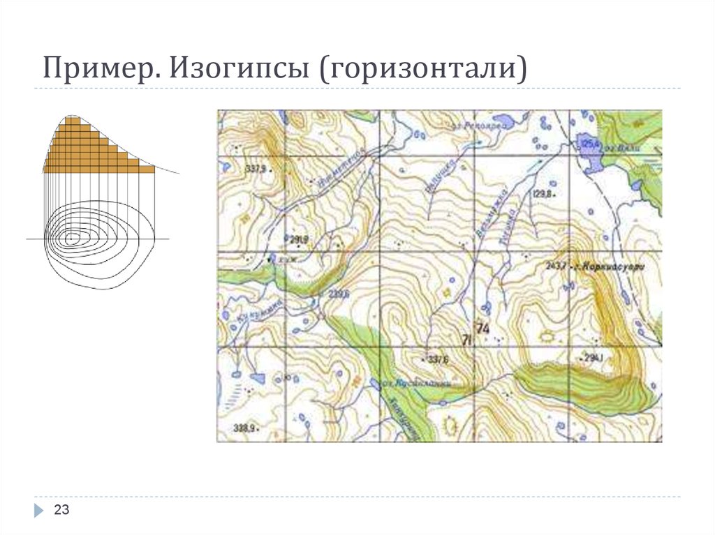 Изогипсы. Горизонтали изогипсы.