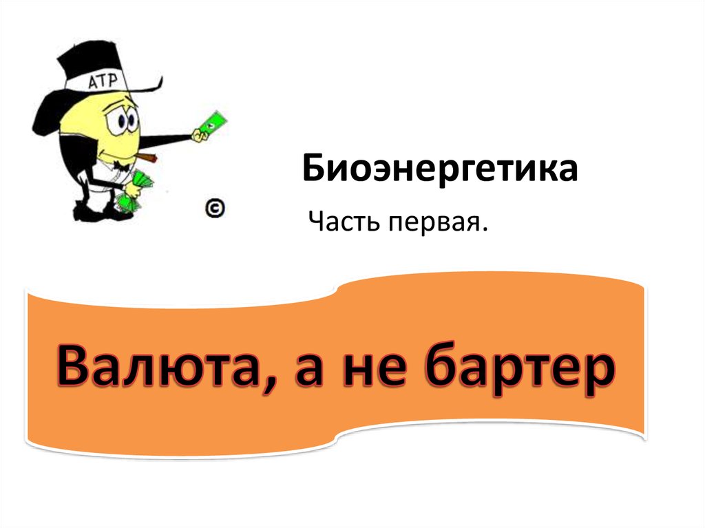 Биоэнергетика. Часть первая - online presentation
