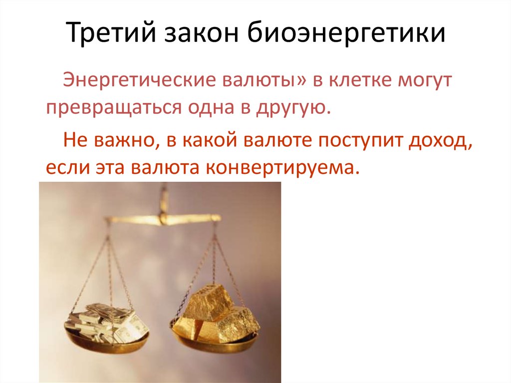 Третий закон биоэнергетики