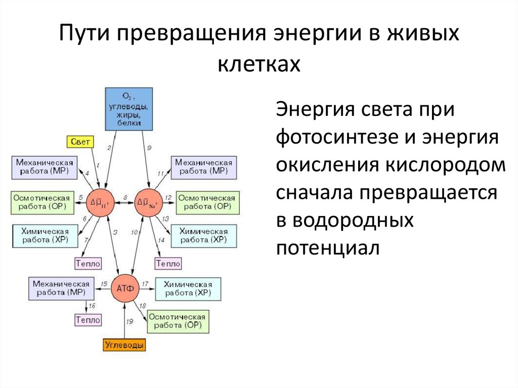 Какой тип энергии