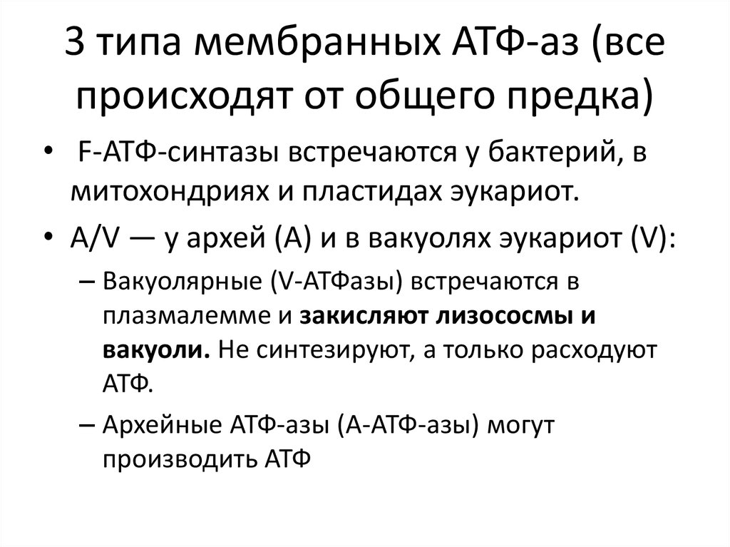 3 типа мембранных АТФ-аз (все происходят от общего предка)