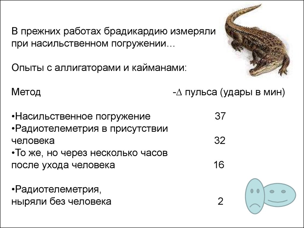 Что предохраняет птиц от перегрева. Виды хвостов у млекопитающих. Постоянная температура тела у млекопитающих. Какой Тип развития у млекопитающих. Роговые образования у млекопитающих.