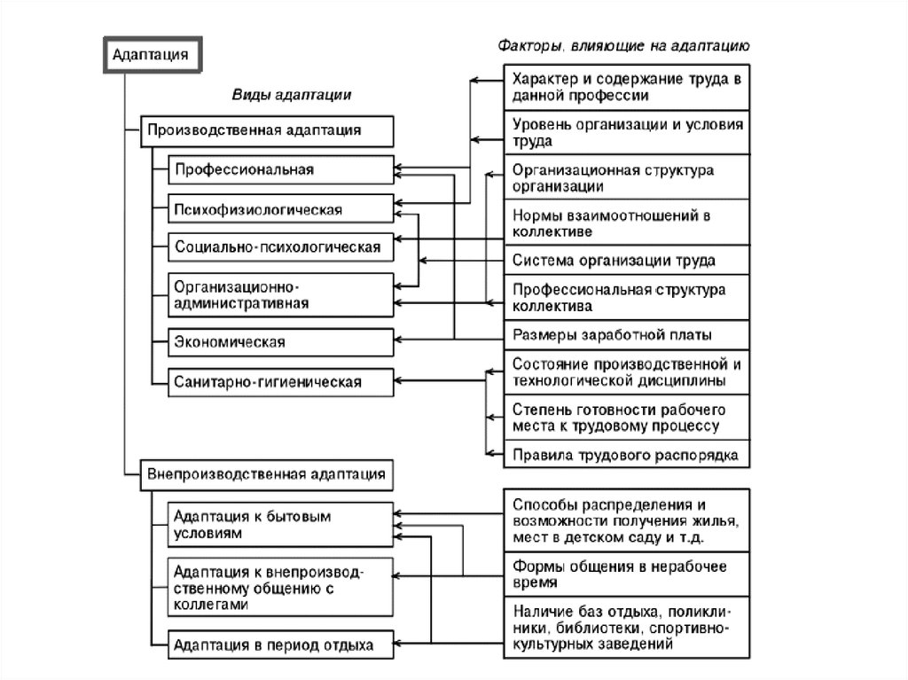 Виды адаптации