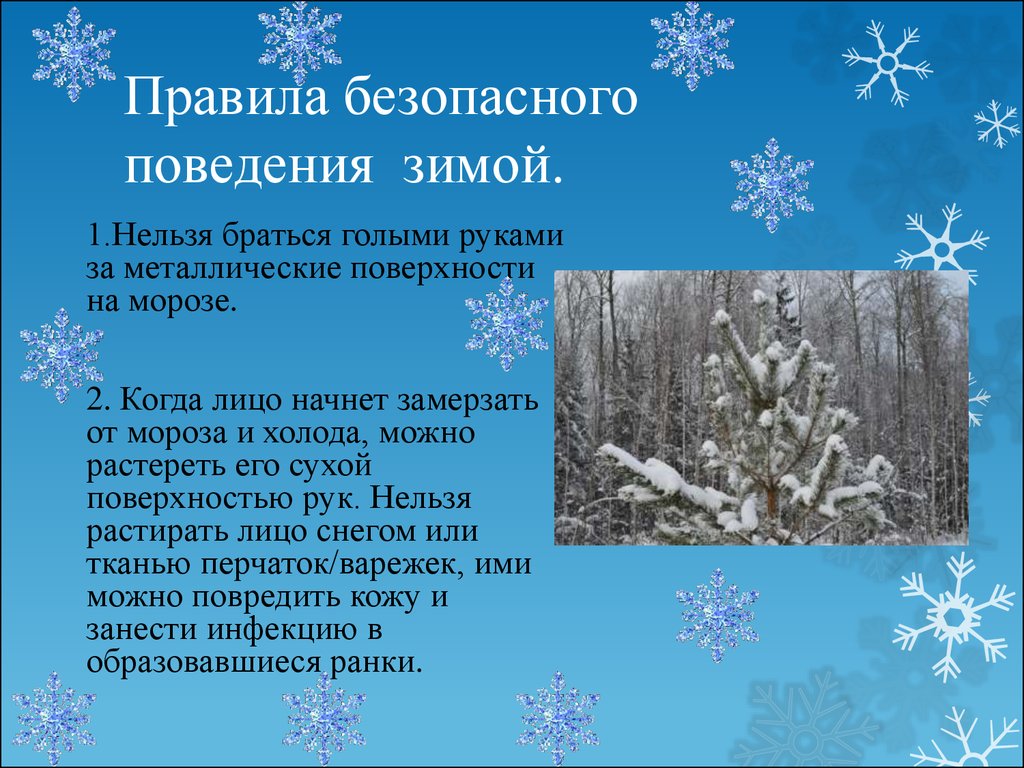 Какой 1 зимний. Правила поведения зимой. Правила безопасности в лесу зимой. Правило павидениезимой. Правила поведения в лесу зимой.