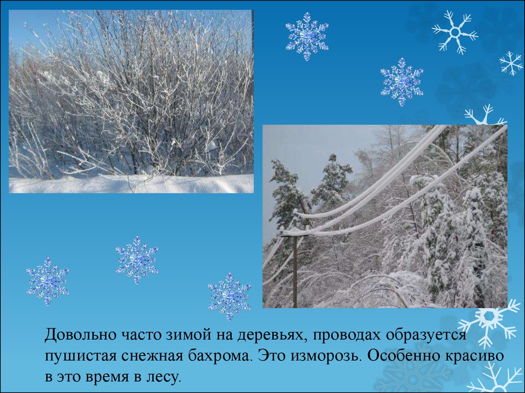 Зима презентация 1 класс. Загадки про явления природы зимой. Стихи про зимние деревья. Пушистая Снежная бахрома на деревьях и проводах. Пушистая Снежная бахрома на деревьях это.