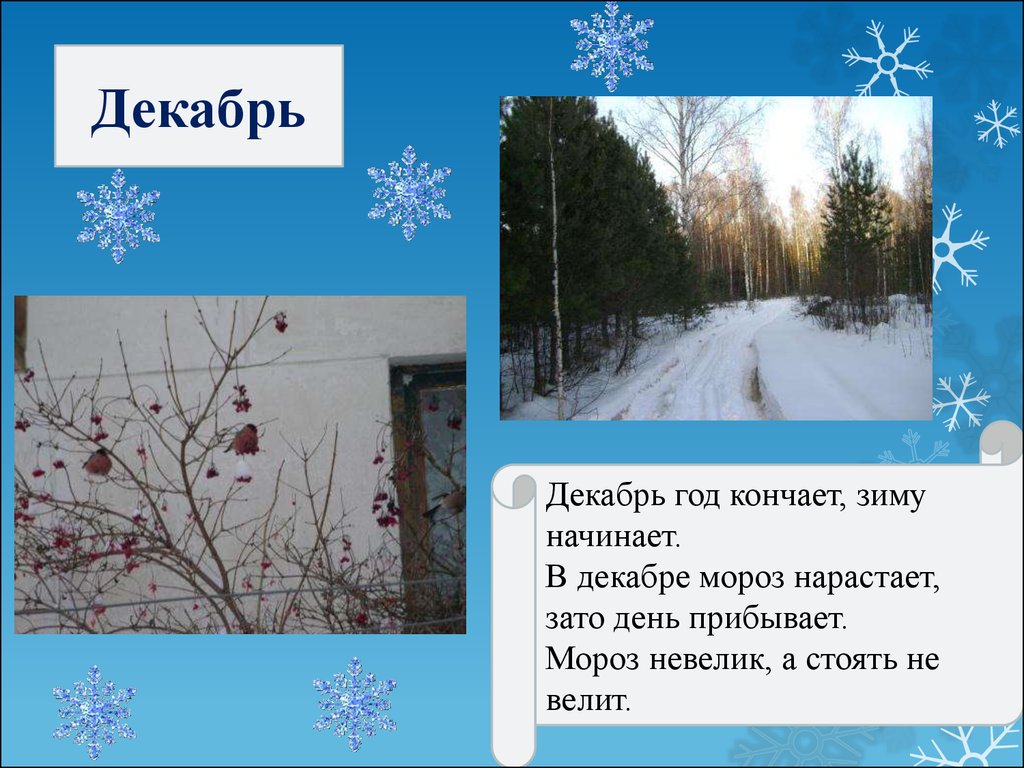 Презентация декабрь. Декабрь год. Пословица декабрь год кончает зиму. Декабрь год кончает а зиму начинает. Мороз стоять не велит.