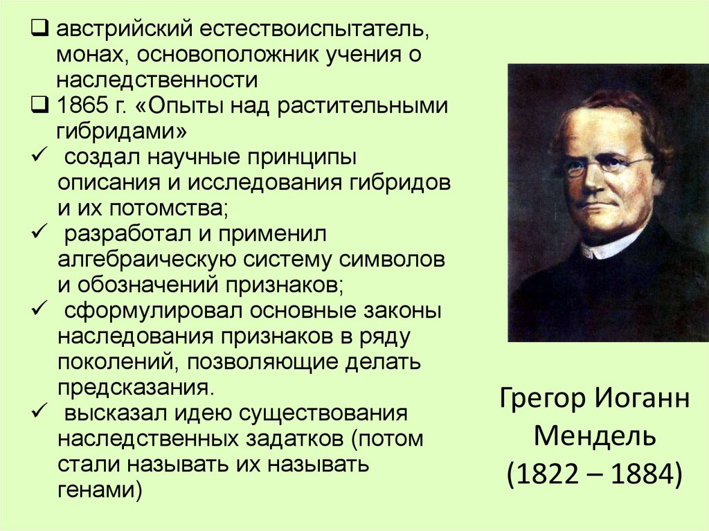 Генетика как наука методы генетики г мендель. Грегор Иоганн Мендель (1822-1884 гг.). Мендель основоположник генетики. Грегор Мендель генетика. Грегор Иоганн Мендель вклад в генетику.