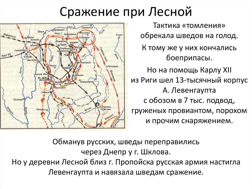 Лесная битва карта