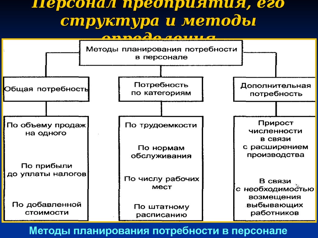 Кадры предприятия. Персонал предприятия и его структура. Персонал предприятия фирмы и его структура. Кадры предприятия состав и структура. Структура персонала предприятия.