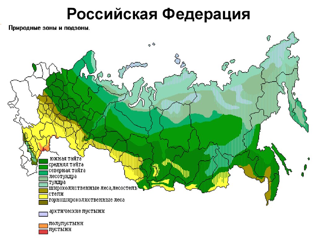 Тайга географическое положение