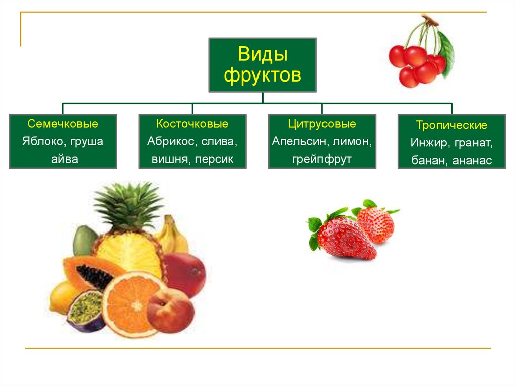 Какие овощи являются ягодами. Фрукты классификация. Классификация фруктов и ягод. Классификация овощи и фрукты. Классификация овощей фруктов ягод.