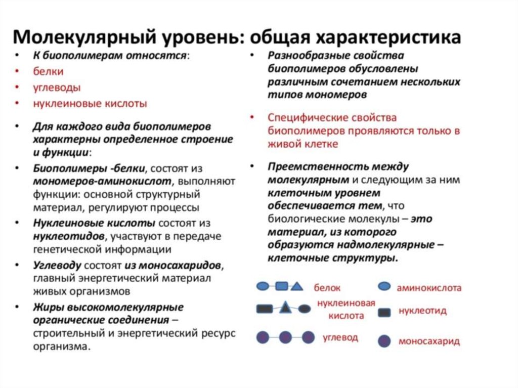 Молекулярный уровень компоненты. Молекулярный уровень общая характеристика. Биополимеры строение и функции. Уровни организации биополимеров. Характеристика молекулярного уровня.