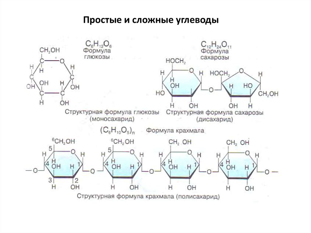 Формула углевод глюкозы. Строение молекул простых и сложных углеводов. Сложные углеводы формулы. Простые и сложные углеводы структура. Формула простых и сложных углеводов.
