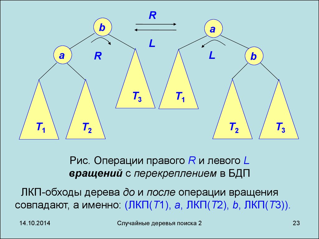 Бинарный случайный опыт. Случайное бинарное дерево. Случайное дерево поиска. ЛКП бинарное дерево. Случайное дерево поиска презентация.