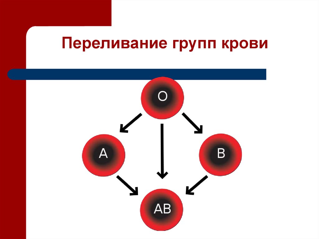 Рассмотрите схему совместимости групп крови. Схема переливания крови по группам и резус фактору. Переливание крови схема с резус фактором. Схема переливания групп крови. Группы крови схема переливания крови резус-фактор.