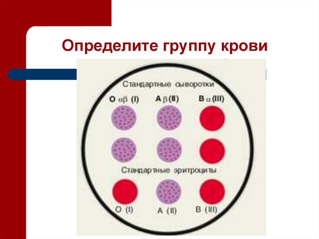 Группа крови экспресс