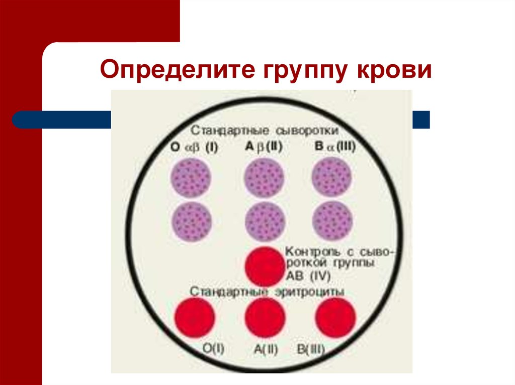 Группа крови спб. Как узнать группу крови. Какузнаьь группу крови. Как узнатьг группу крови. Какопрелелить группу крови.