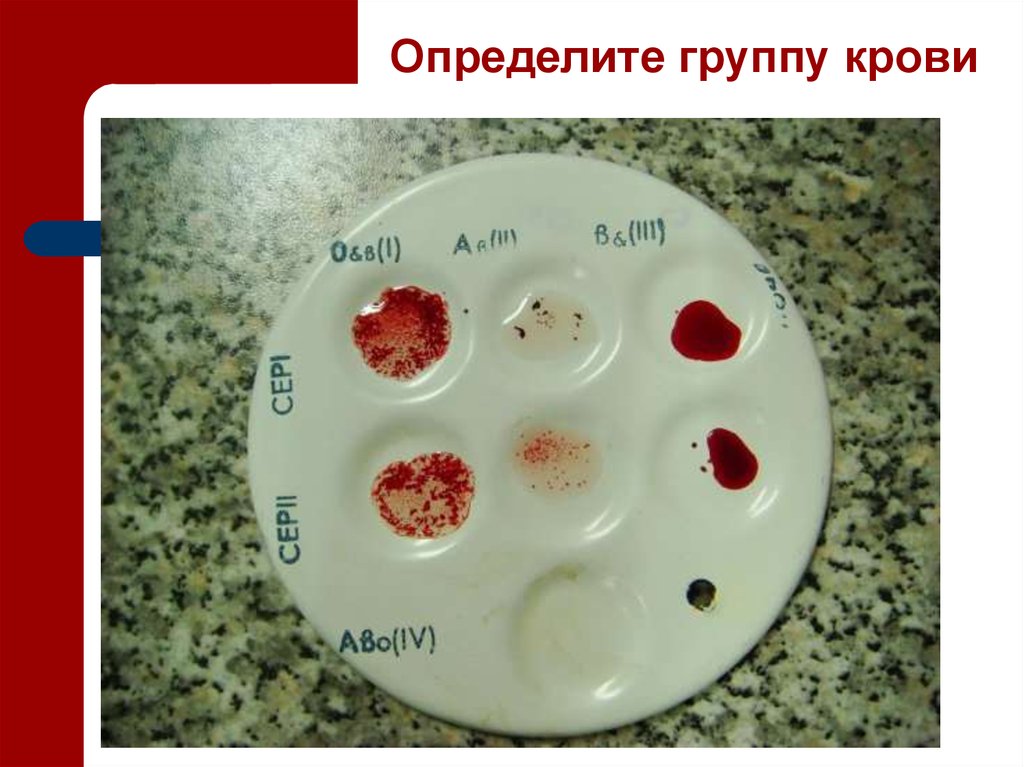 Карточка группы крови