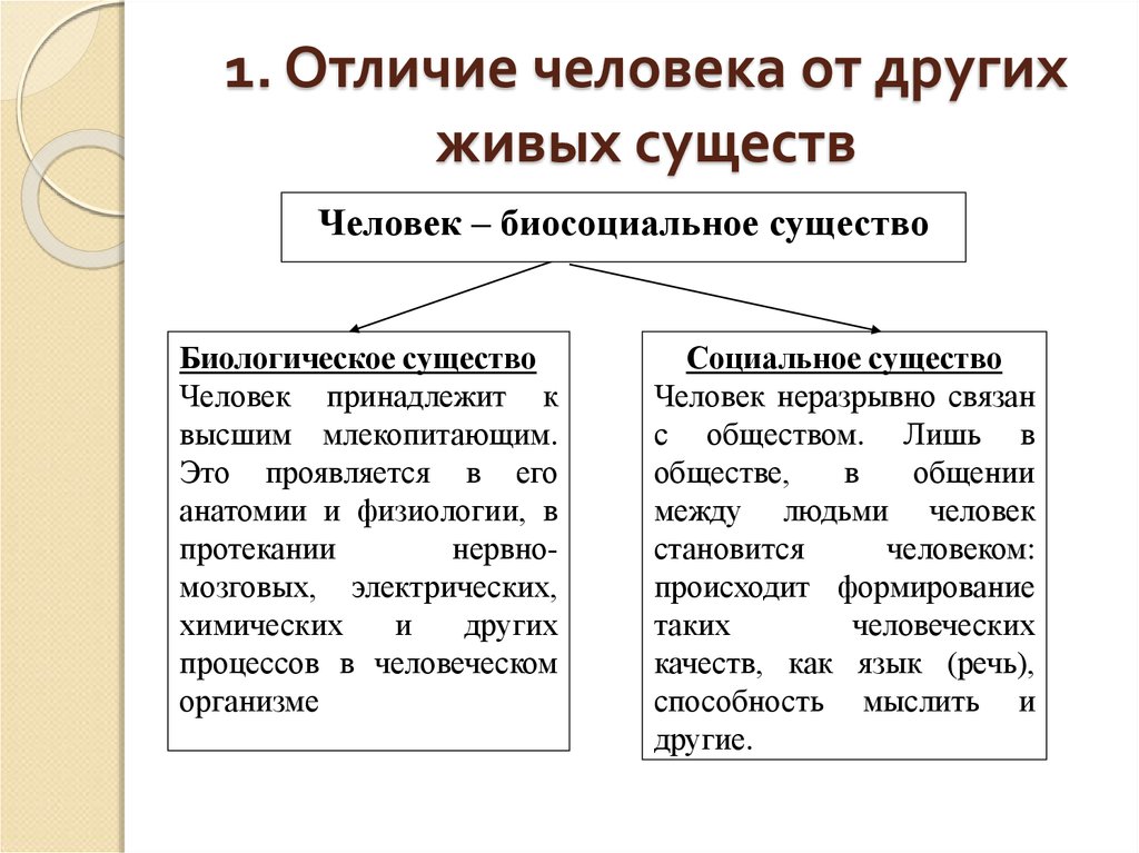 Отличие социального проекта от любого другого