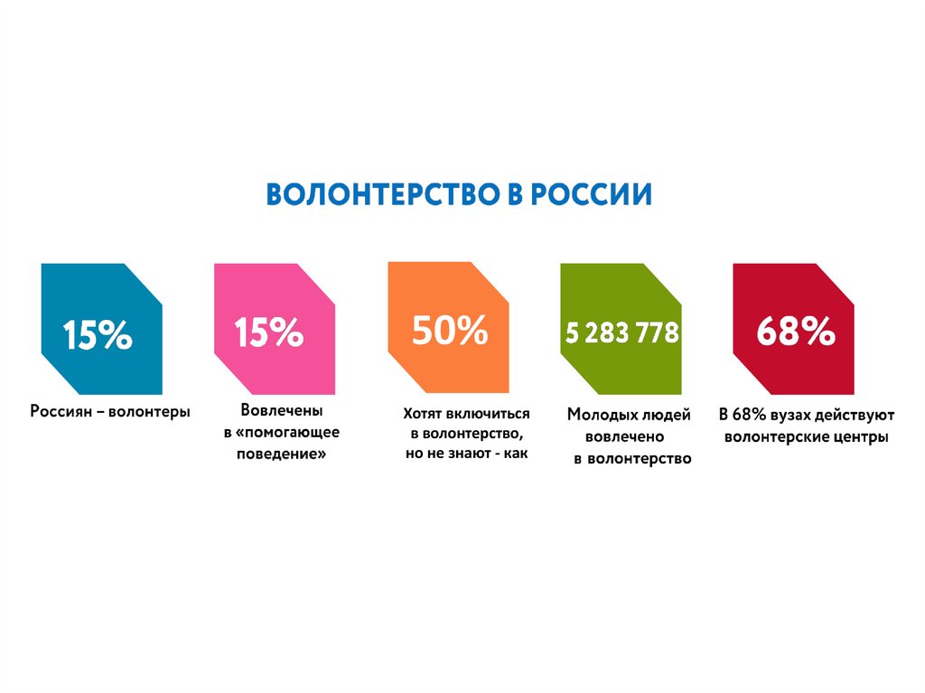 Бизнес план волонтерство