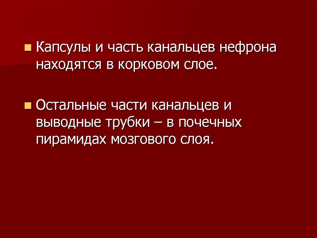 Органы выделения 7 класс презентация