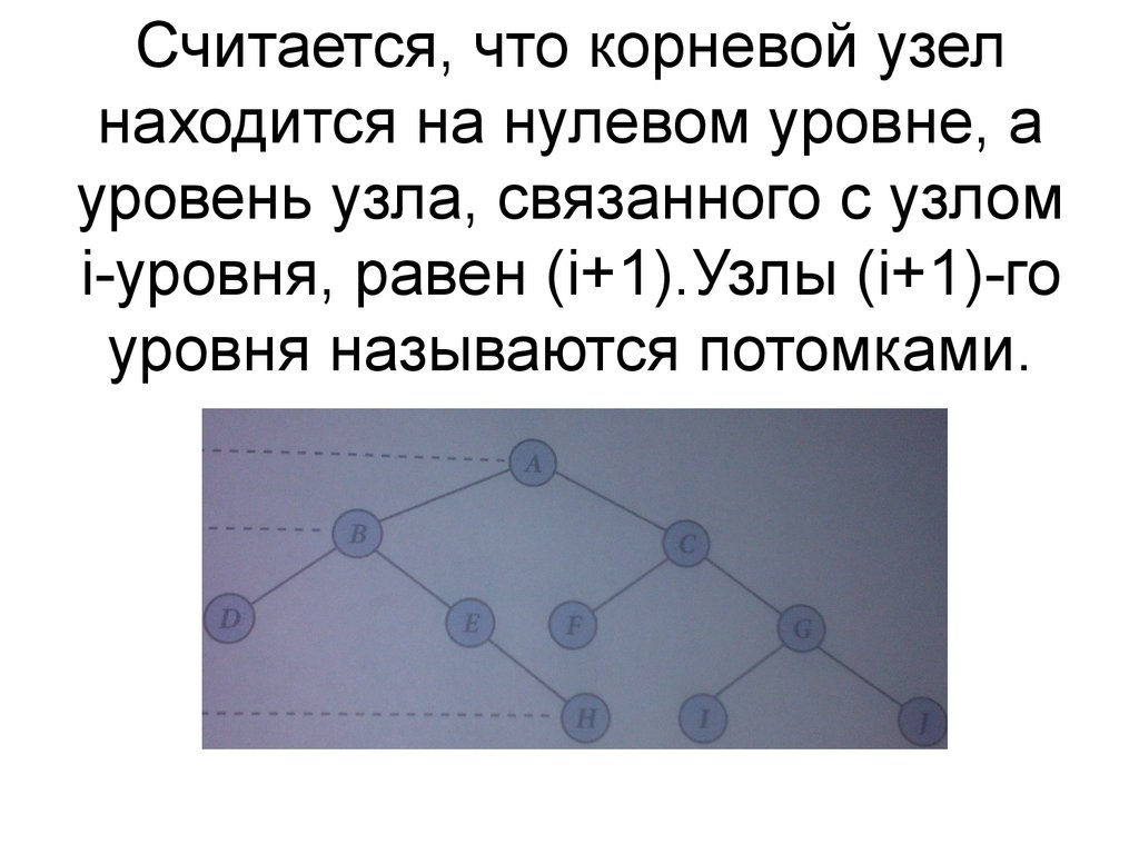 Корневой узел. Корневой узел документа. Дано дерево. Определить степень узла х.. Чтчто такое 5 степень узла.