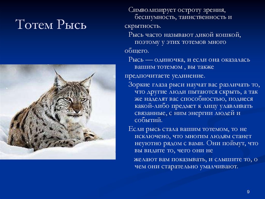 Тотемное животное характеристика и значение. Тотем Рысь. Тотемные животные Рысь. Рысь характер животного. Тотемное животное Рысь.